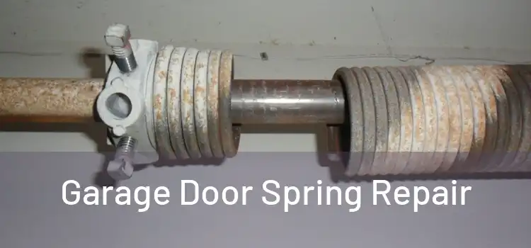  Garage Door Spring Repair 
